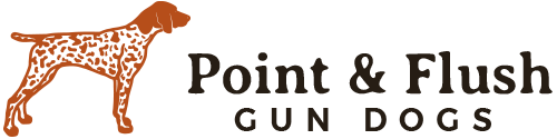 Point & Flush Gun Dogs