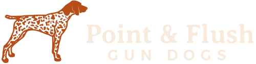 Point & Flush Gun Dogs